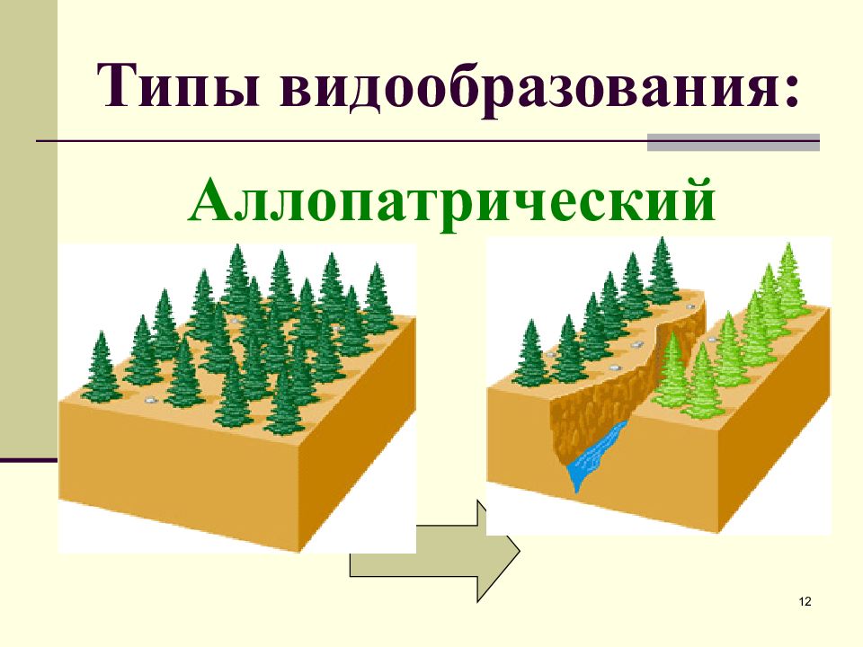 Какой способ видообразования изображен на рисунке