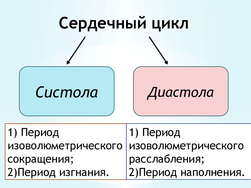 Что такое систола сердца. Систола и диастола. Цикл сердца систола диастола. Сердечный цикл систола и диастола. Периоды систолы и диастолы сердца.