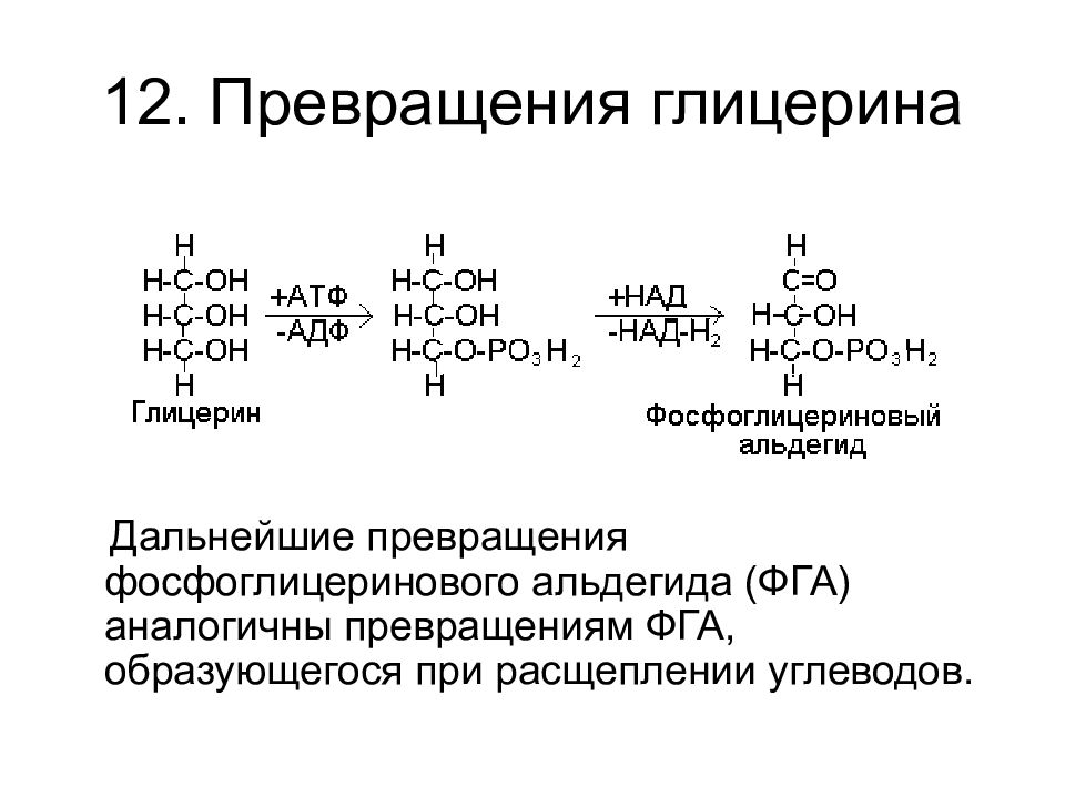 Связь глицерина. Превращение глицерина. Расщепление глицерина. Превращение глицерина в глюкозу. Окисление 3 фосфоглицеринового альдегида.