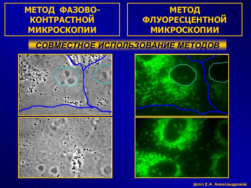 Перечислить методы микроскопии