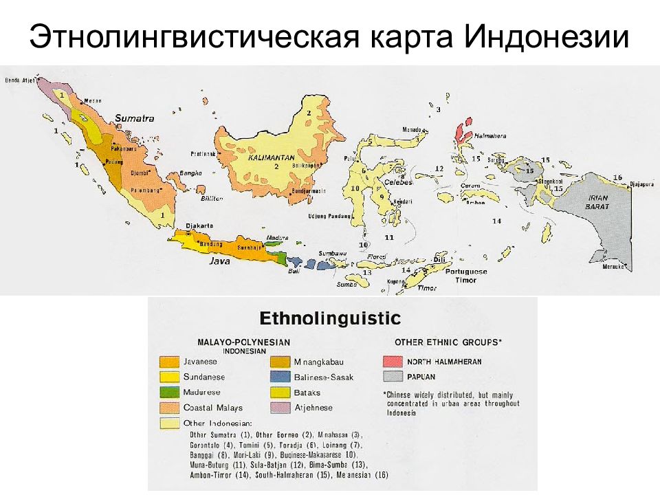 Индонезия население карта