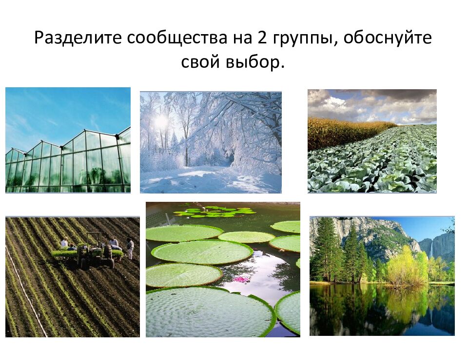 Разделите сообщества на 2 группы, обоснуйте свой выбор.