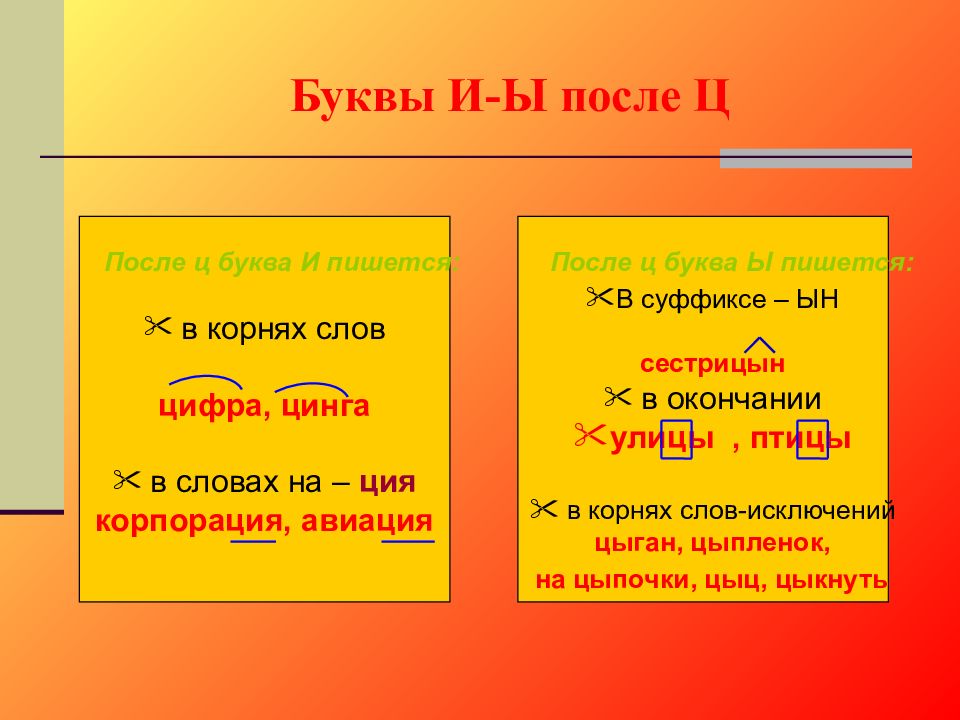 Сестрицын. Сестрицын правило написания. Ы после ц в суффиксах. Буква и после ц.