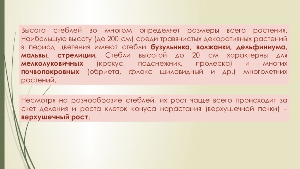 История комнатного цветоводства презентация