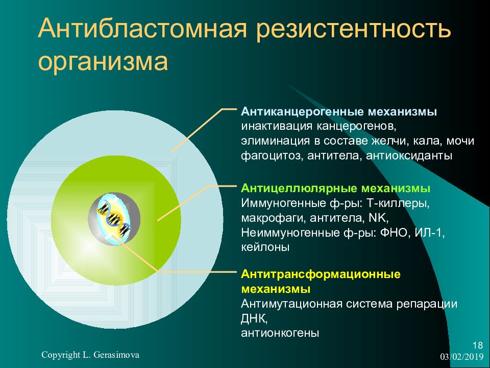 Резистентность организма. Антибластомная резистентность механизмы. Антитрансформационные механизмы антибластомной резистентности. Антиканцерогенный механизм антибластомной резистентности. Механизм антибластомная резистентность организма.