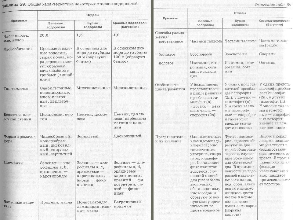 Характеристика классов водорослей. Характеристика основных отделов водорослей. Характеристика основных отделов водорослей таблица. Таблица по биологии 7 класс водоросли зелёные красные бурые. Сравнительная характеристика водорослей таблица 7 класс.