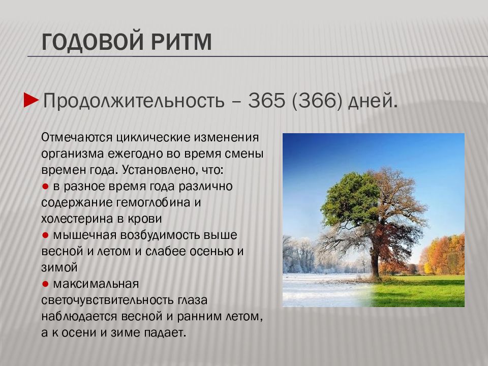 Сезонные изменения в жизни организмов 5 класс биология презентация