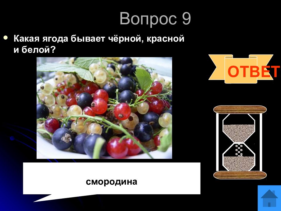 смородина на белом фоне. какая ягода бывает красной белой жёлтой черной. какая ягода бывает красной белой. какая ягода бывает красной белой. какая ягода бывает красной белой жёлтой черной.