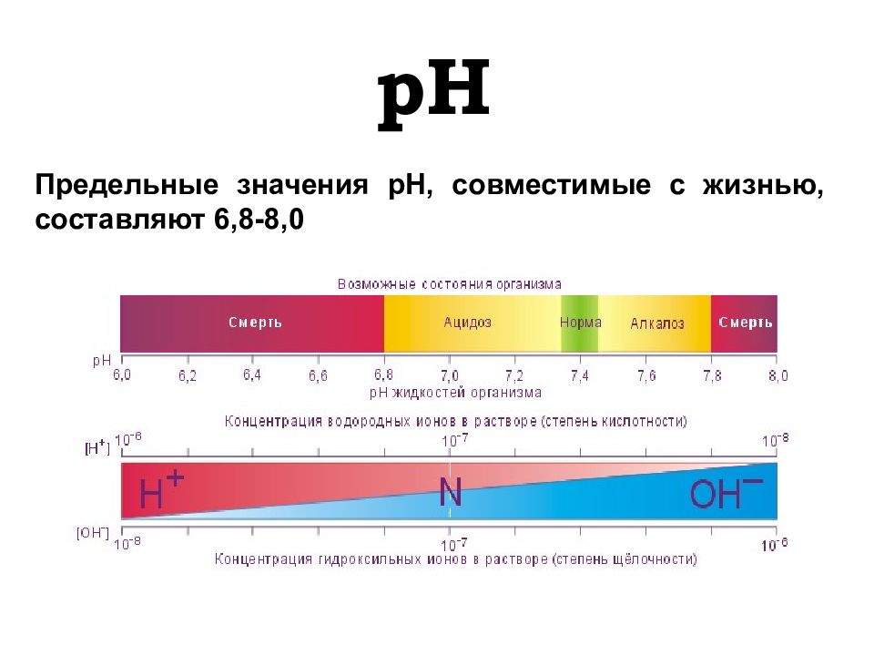 Норма кислотно. PH В крови при алкалозе ацидозе. Таблица PH С алкалоз. Норма PH крови алкалоз ацидоз. PH В организме человека таблица.