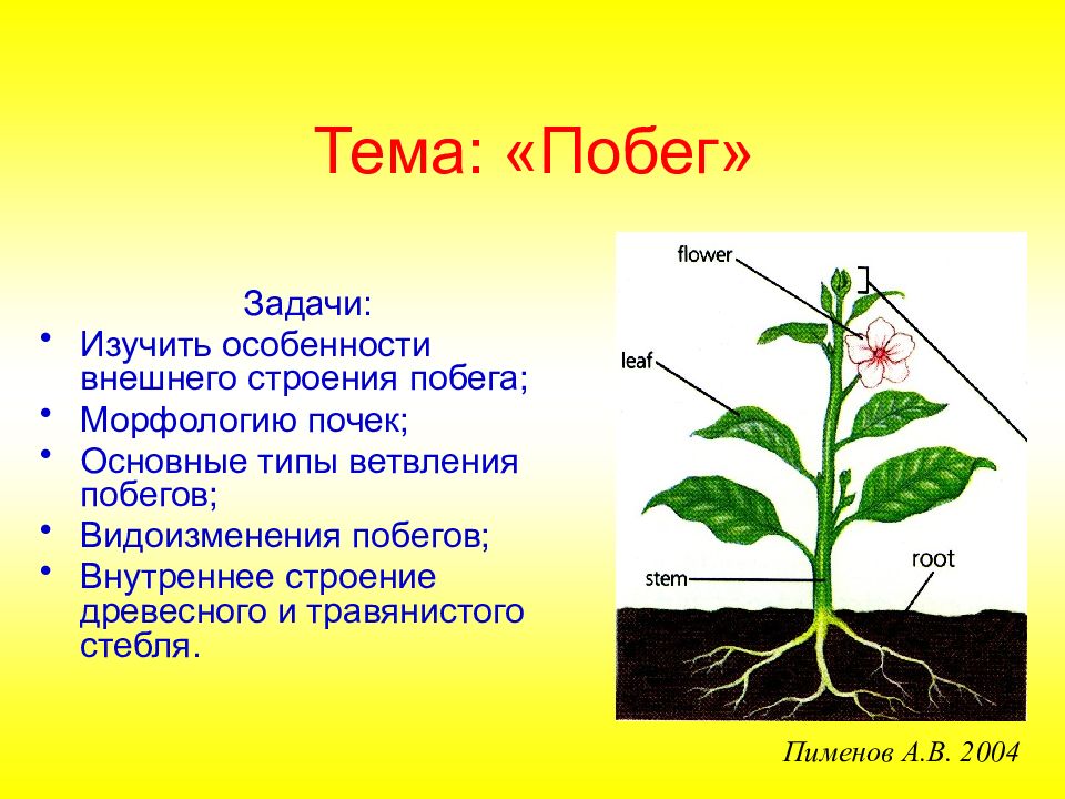 Тема: «Побег»
