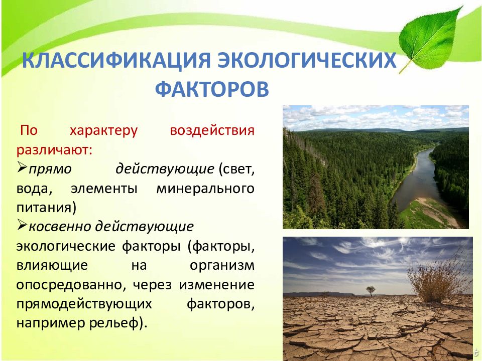 Влияние окружающей среды на почву. Влияние экологических факторов на растения. Экологические факторы влияющие на растения. Экологические факторы земли. Вода экологический фактор.