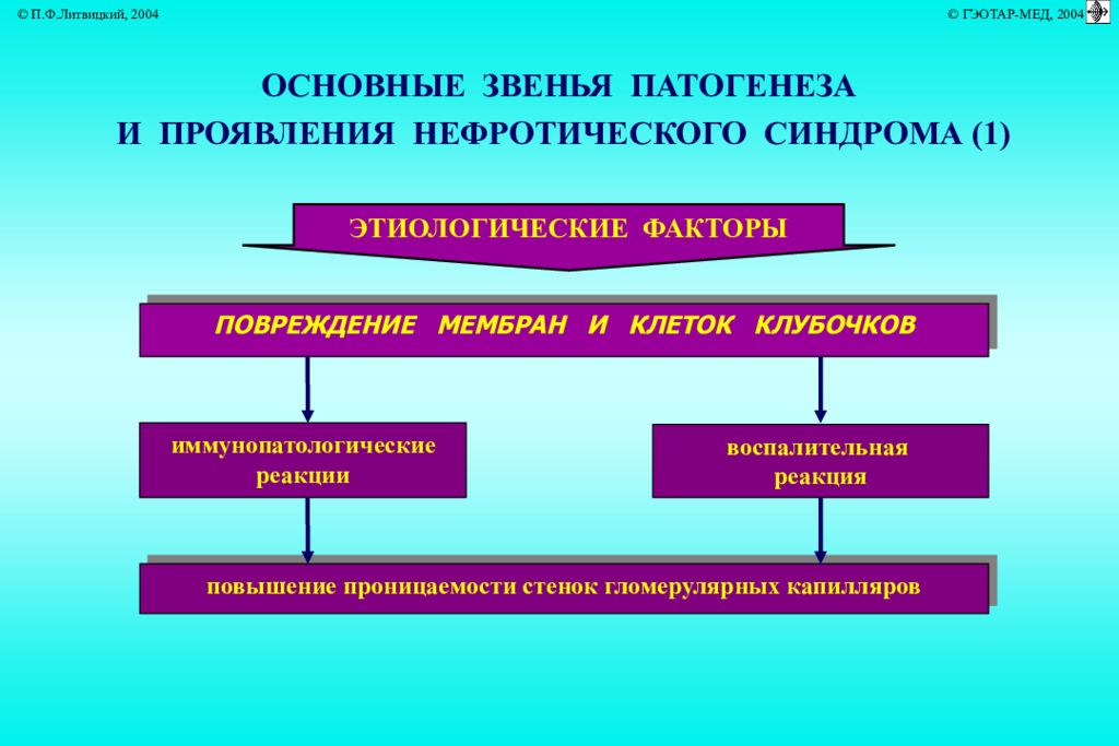 Нефротический синдром патогенез схема