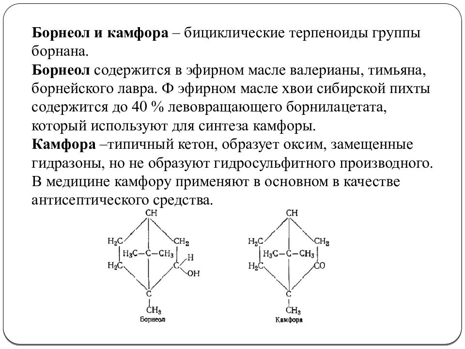 Камфора свойства