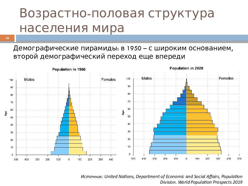 Демографическая пирамида