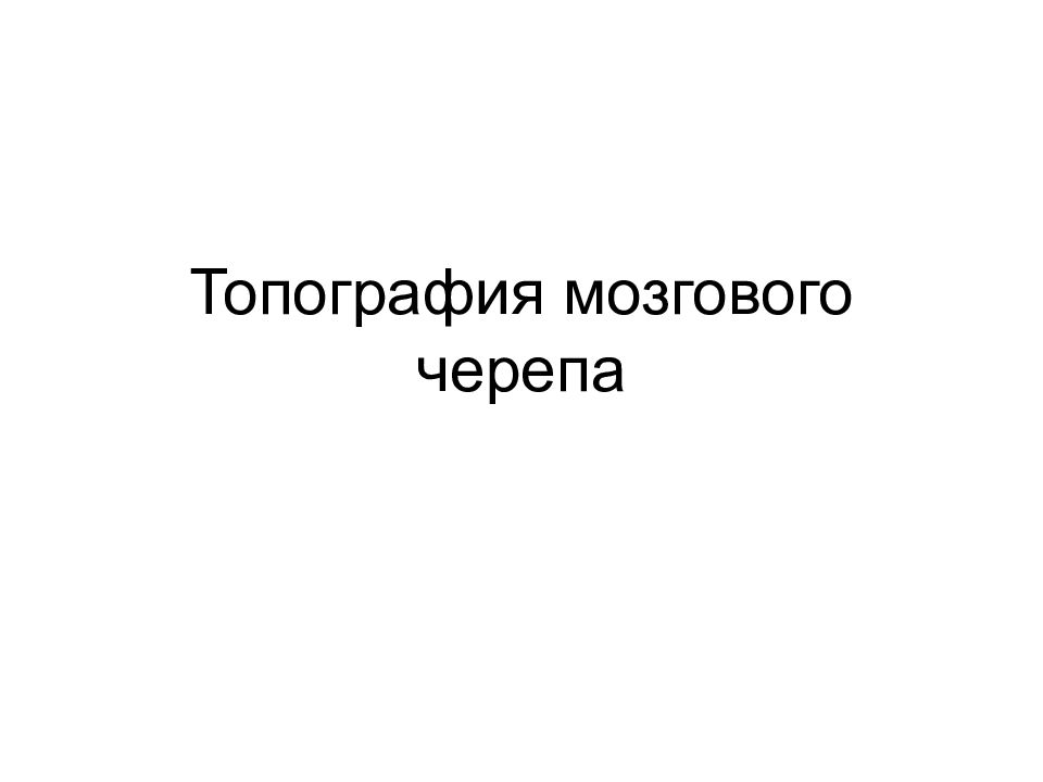 Топография мозгового черепа