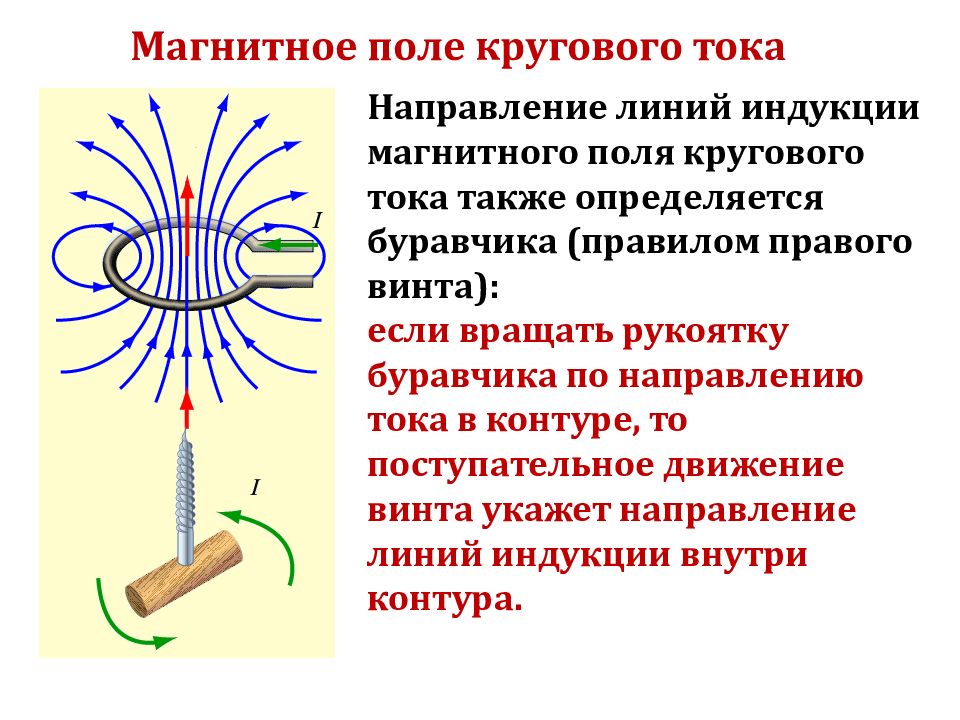 Как определить направление вектора магнитного поля. Линии магнитной индукции кругового тока направление. Магнитное поле кругового тока. Направление линий магнитной индукции прямого тока. Определение магнитной индукции кругового тока.