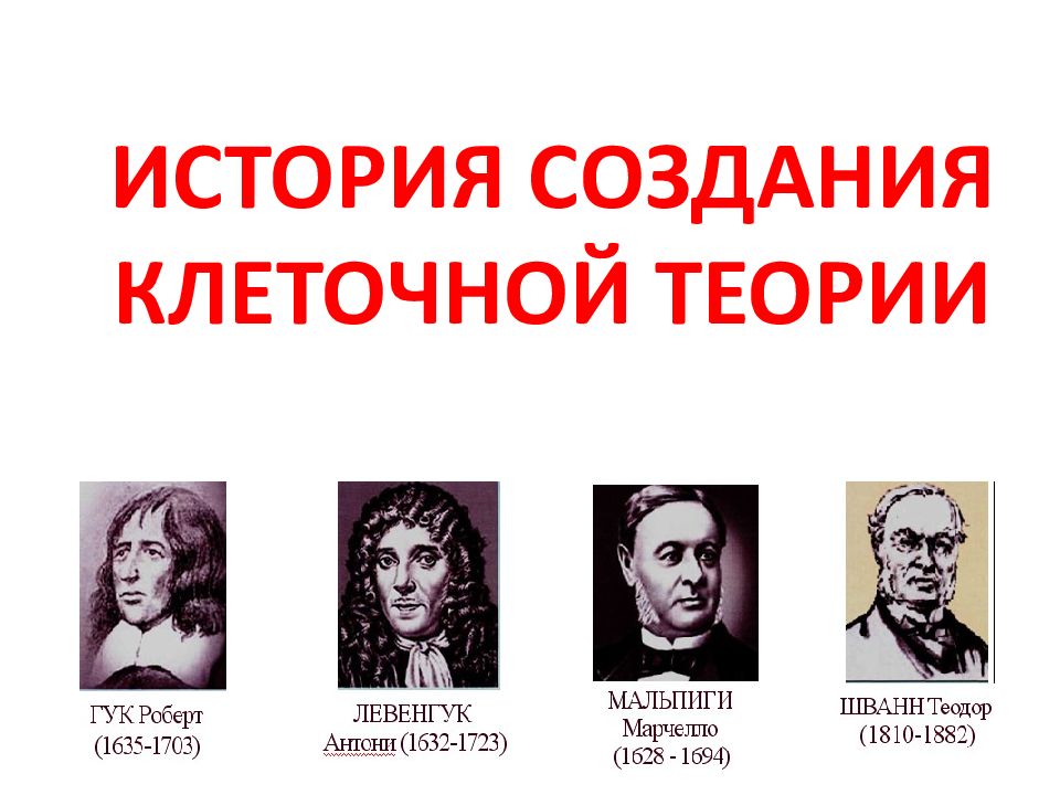 ИСТОРИЯ СОЗДАНИЯ КЛЕТОЧНОЙ ТЕОРИИ