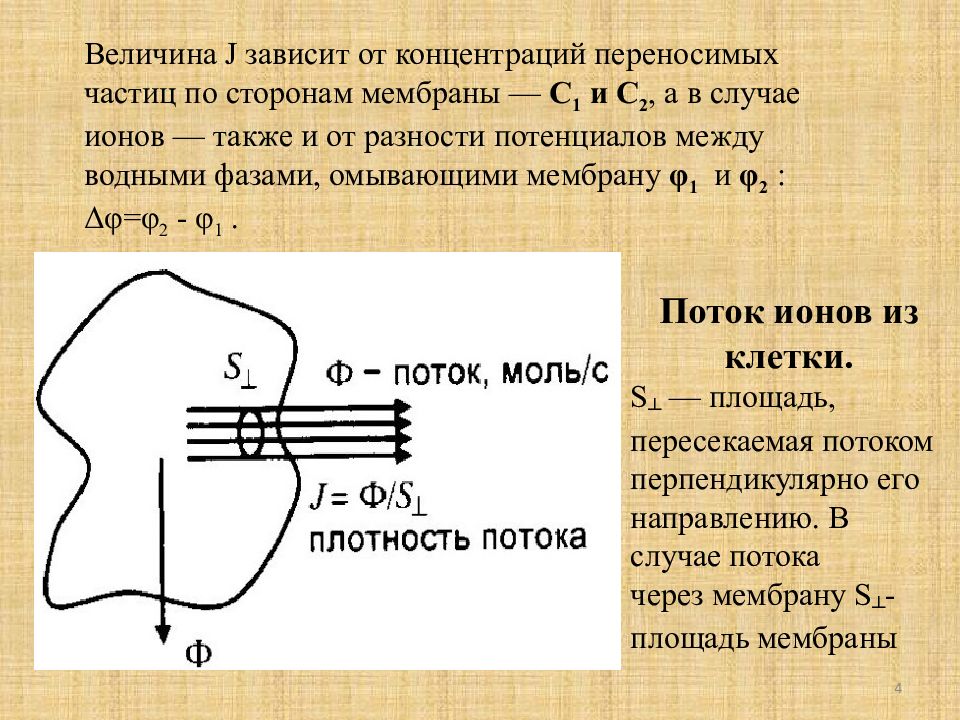 Щитоподъязычная мембрана. От чего зависит перенос частиц. От чего зависит величина и направление потока ионов через мембрану. Знак поток ионов в биофизике.