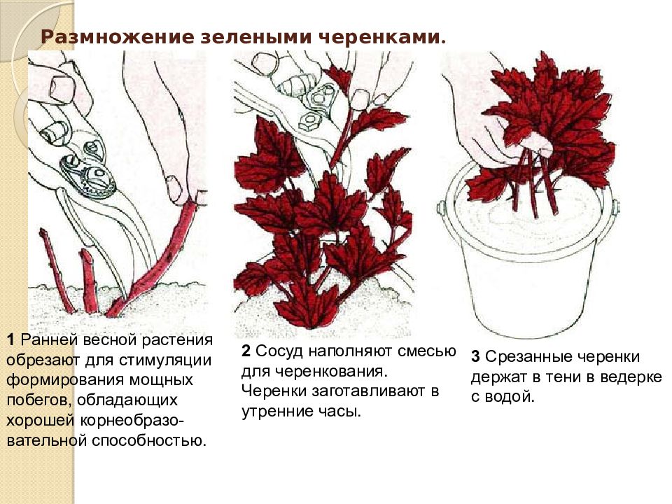 Обеспечение идеальной среды для прогресса