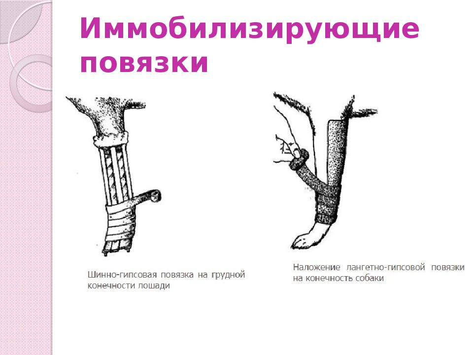 Десмургия лекция по хирургии для медсестер презентация