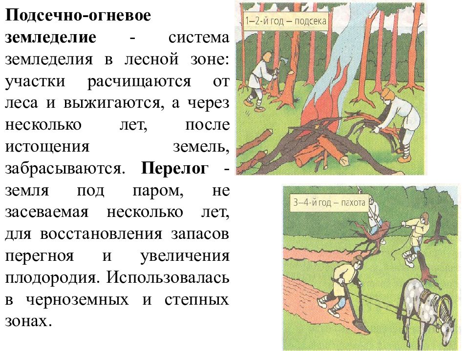 Сравнить подсечно огневую систему земледелия. Подсечно-огневая система земледелия это. Перелог земледелие. Подсечное земледелие. Перелог система земледелия.