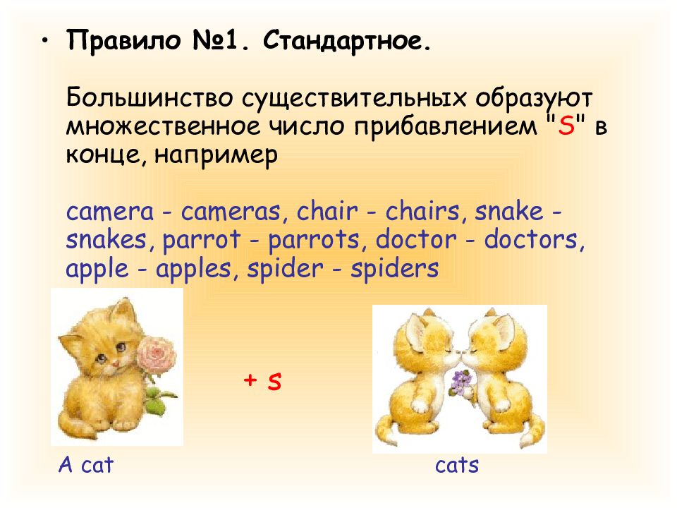 Образование существительных в английском языке презентация