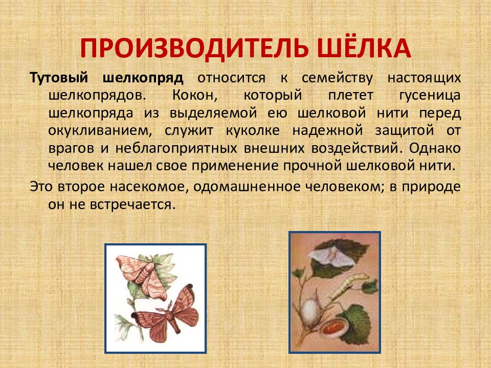 Какие бывают ткани 2 класс технология презентация школа россии конспект