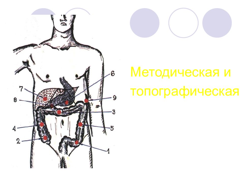 Методы обследования органов пищеварения презентация