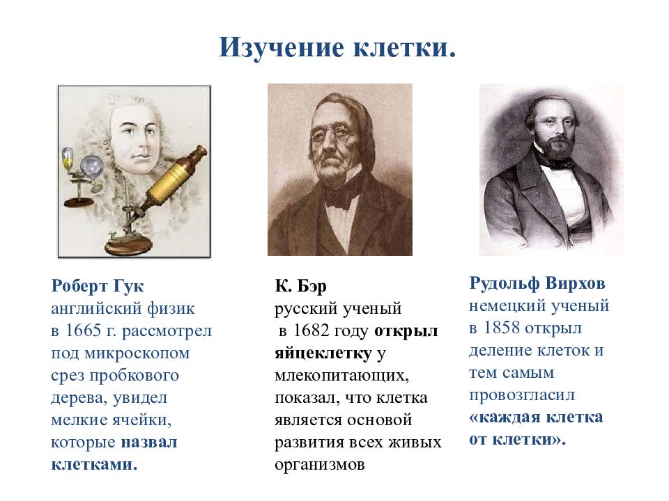 Назовите первого ученого. Ученые биологи. Выдающиеся биологи. Учёные и их открытия. Известные русские биологи.