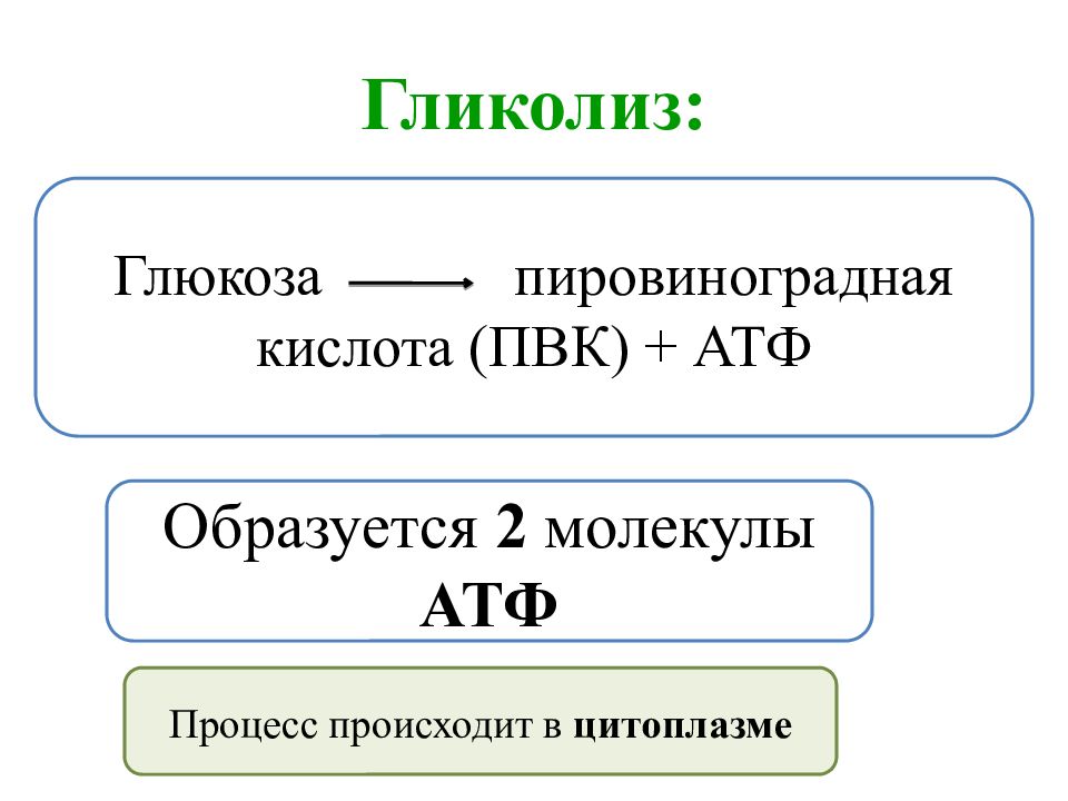 Пластический обмен атф. Гликолиз пировиноградная кислота. Гликолиз ПВК. Продуктами гликолиза являются пировиноградная кислота и. Процесс гликолиза.