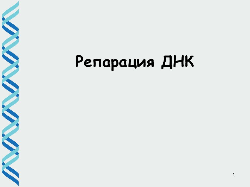 1 Репарация ДНК