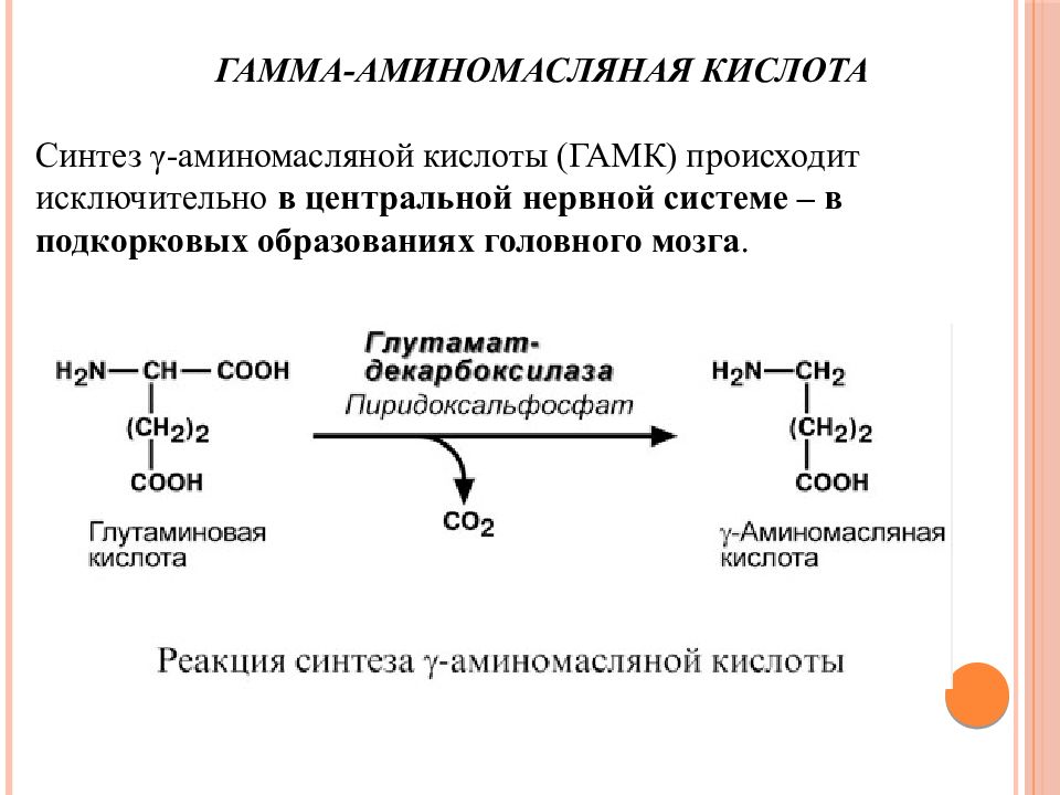 Аминокислота образуется в процессе. Синтез гамма аминомасляной кислоты. Синтез гамма аминомасляной кислоты из глутамата. Получение гамма аминокислот. Глутаминовой кислоты и гамма-аминомасляной кислоты..