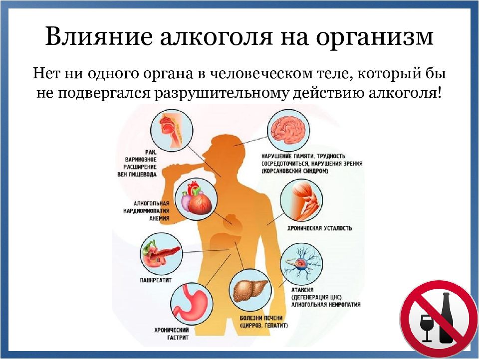 Подготовка организма. Отношение к алкоголю. Устойчивость организма к алкоголю. В чём Разрушительное действие алкоголя на семью и детей.