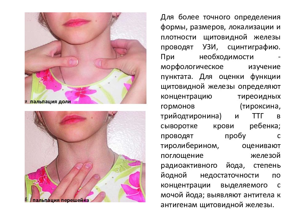 Щитовидная железа у детей 10 лет. Пальпация щитовидной железы у детей.