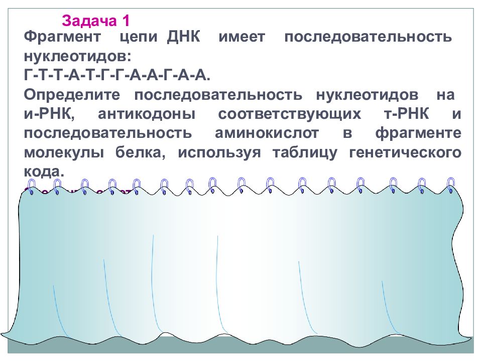 Фрагмент цепи. Задачи на цепи ДНК ЕГЭ. Задачи на Цепочки ДНК. Цепь ДНК задачи. ДНК ЕГЭ задания.