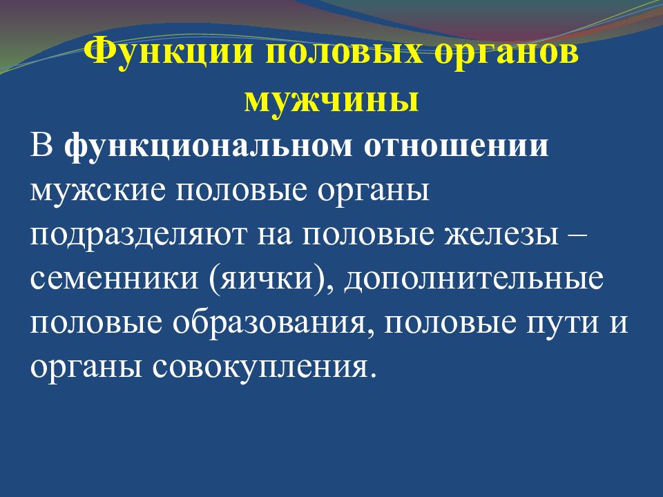 Строение и функции репродуктивной системы 8 класс презентация