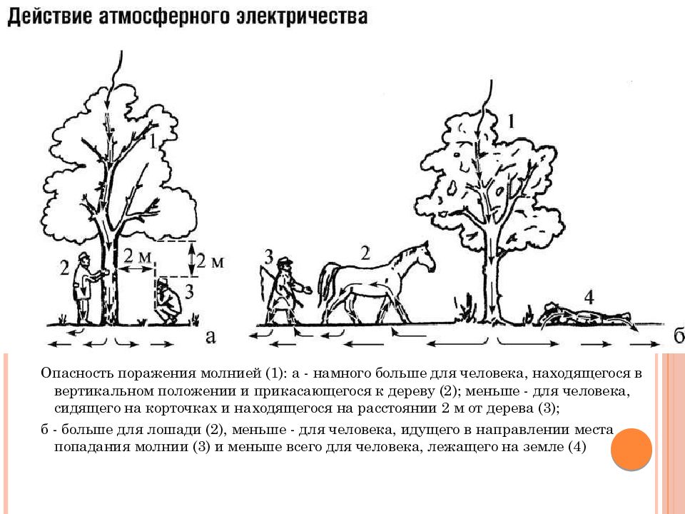 Находиться в вертикальном положении