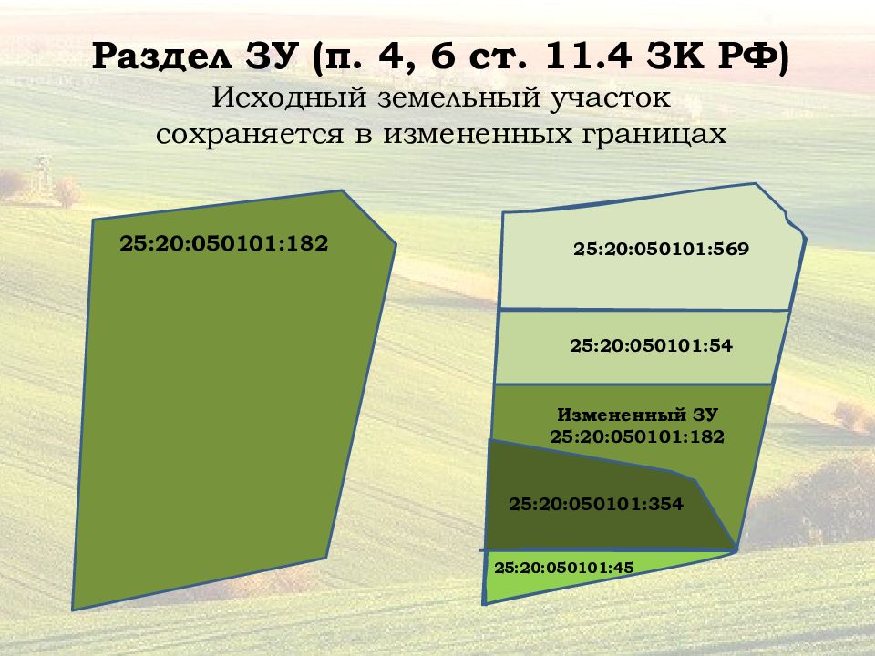 Выдел. Образование земельных участков. Способы образования земельных участков. Раздел земельного участка в измененных границах. Схема образования земельных участков.