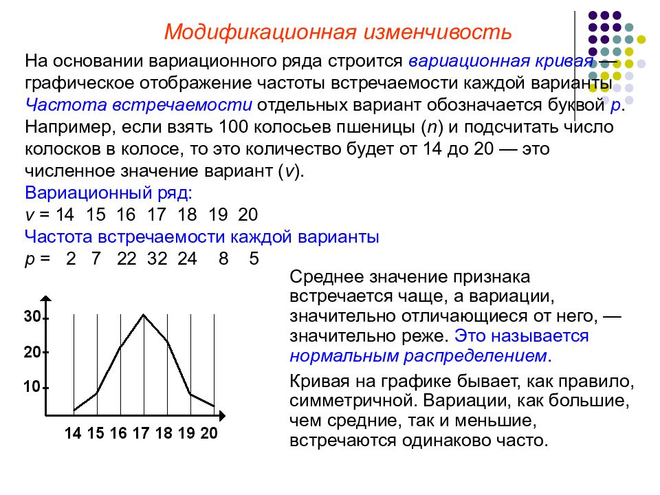 Модификационная изменчивость презентация пименов