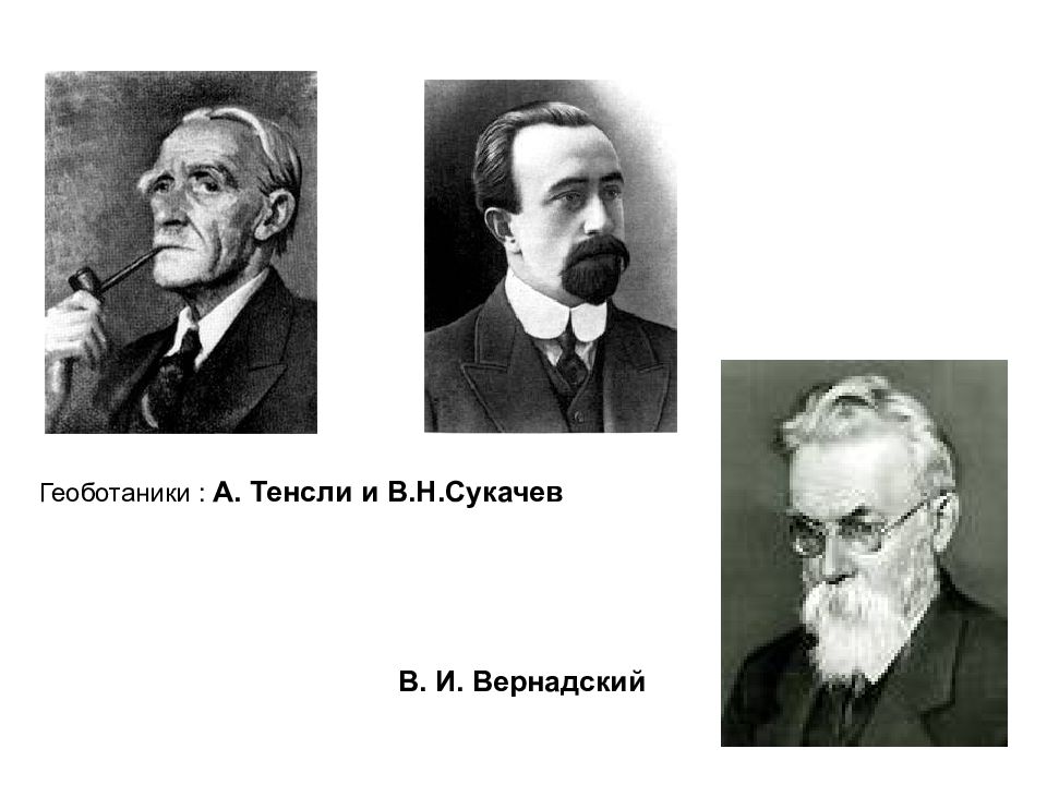 Больше меньше вернадского. Артур Тенсли британский ботаник. Тенсли экология. Тенсли вклад в экологию. Тенсли и Сукачев.