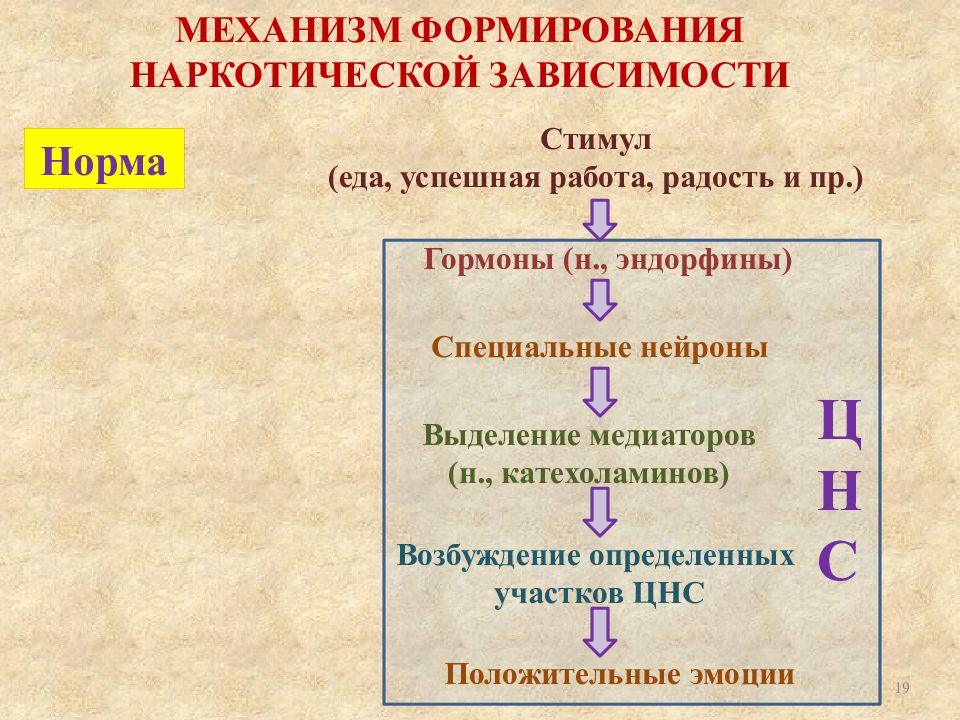 Развитие зависимостей. Механизм развития наркотической зависимости. Механизм формирования зависимости. Механизм формирования биологической зависимости. Механизм развития лекарственной зависимости.