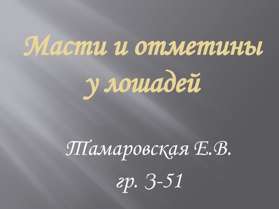 Масти и отметины у лошадей