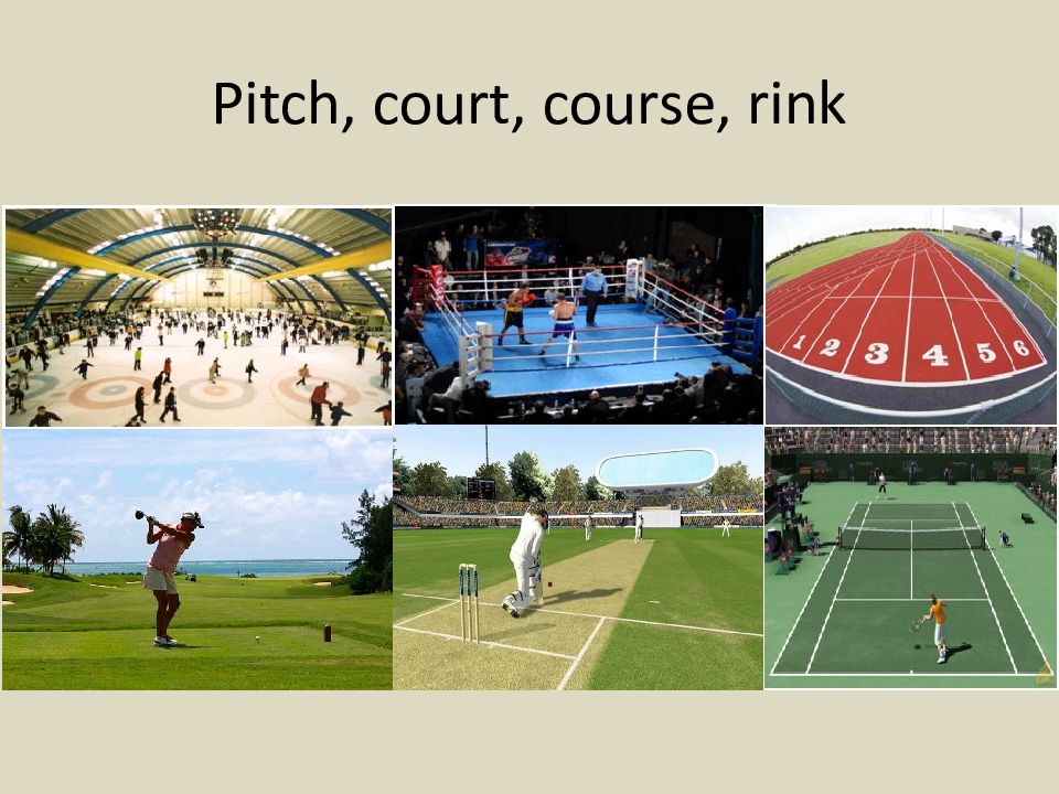 Course pitch rink. Pitch Court course Rink разница. Разница Pitch track Court course Ring Rink. Pitch field Court course разница. Course Court Pitch Ring Rink track.