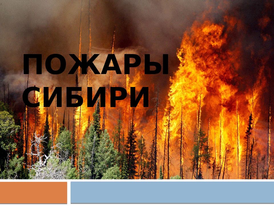 Пожары Сибири