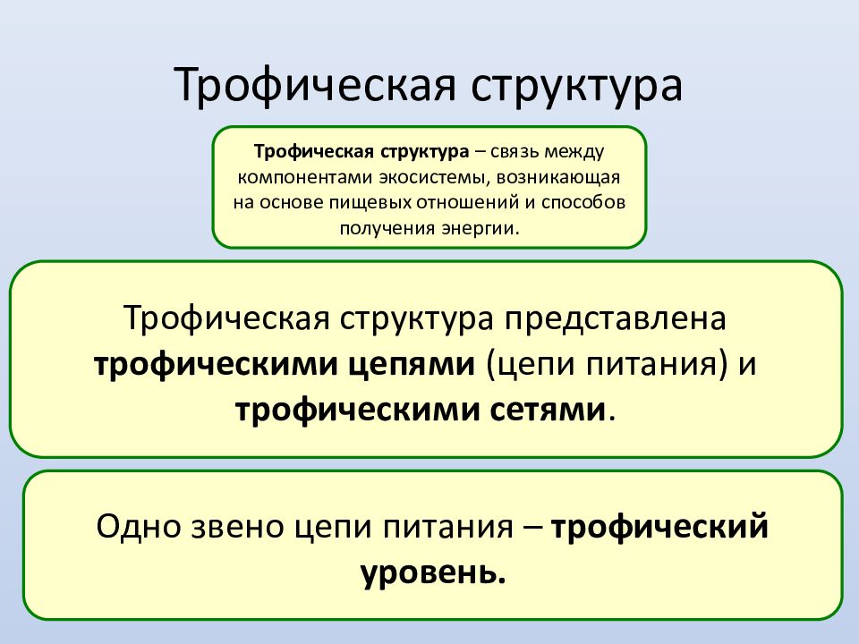 Презентация состав и структура сообщества 9 класс пасечник