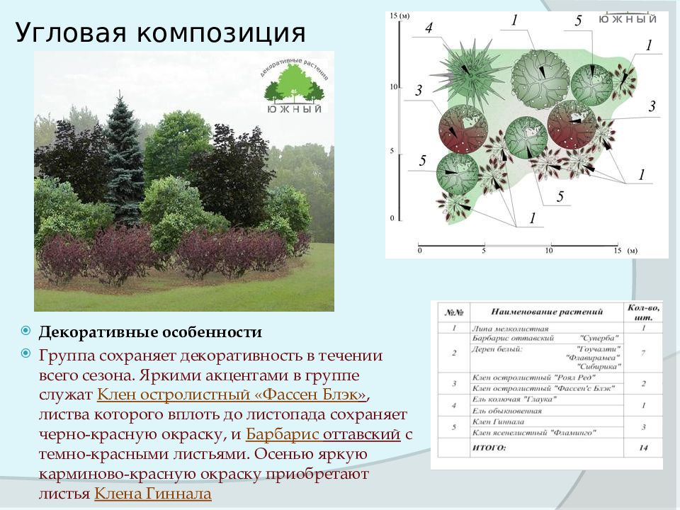 Как называется проект размещения древесной растительности газонов цветников