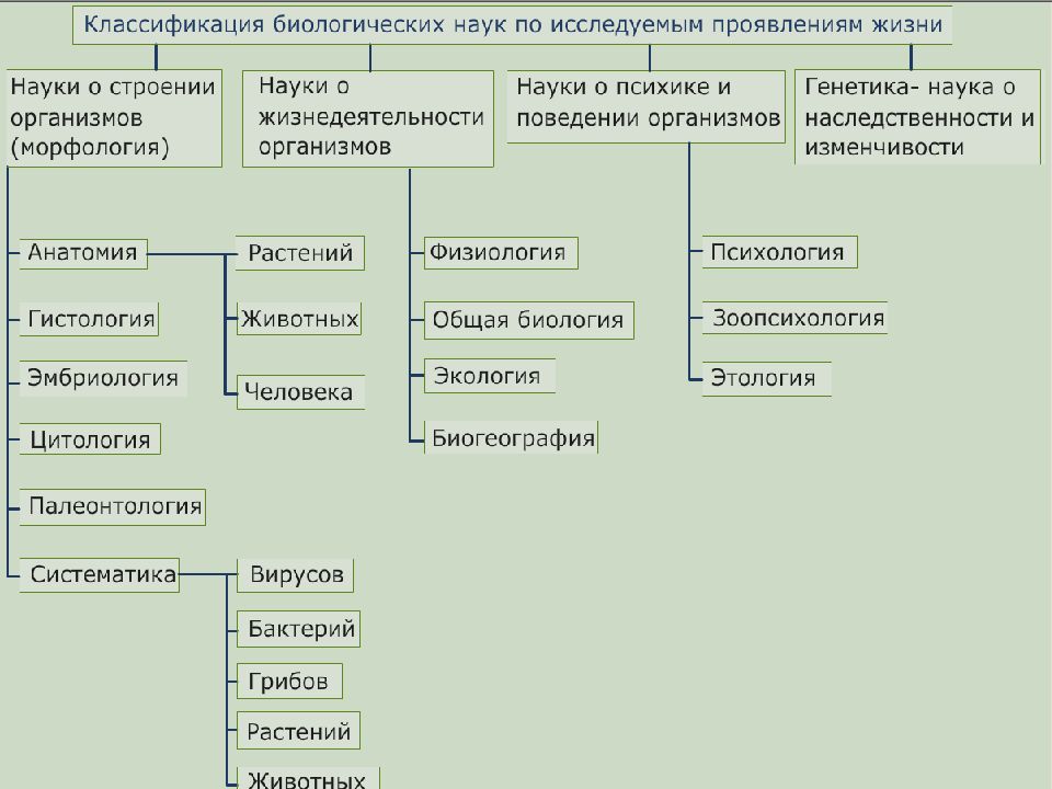 Биология в системе наук презентация 10 класс