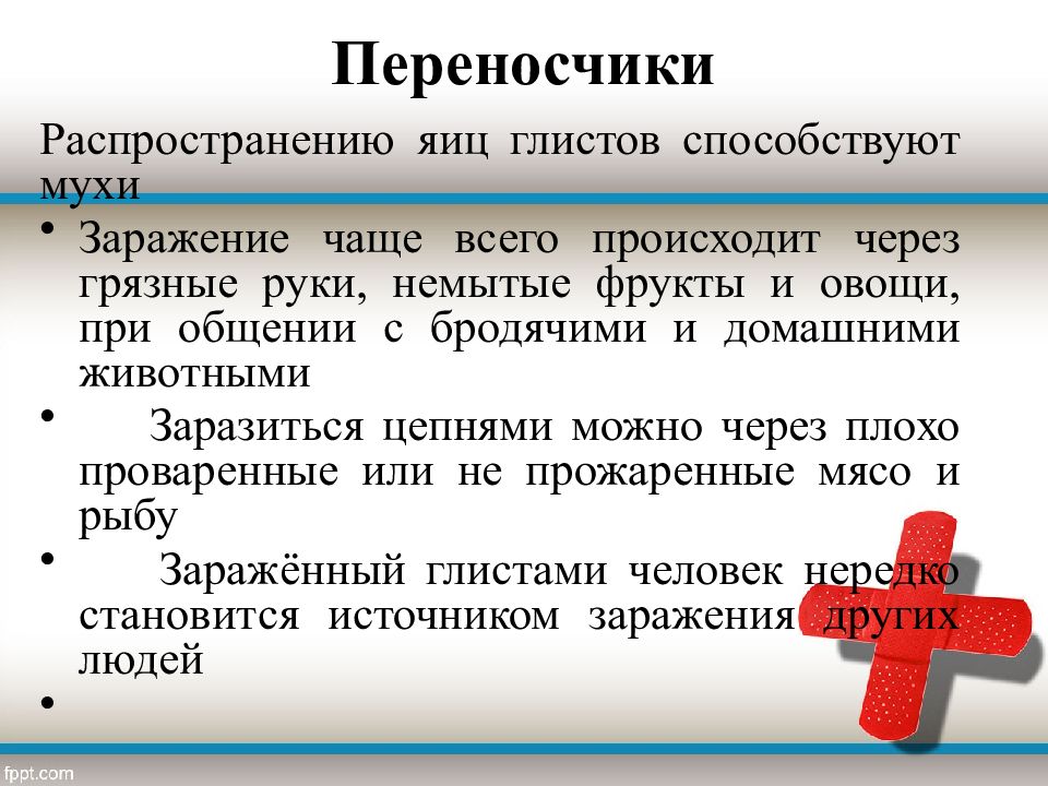 Какие гельминты наиболее опасны в плане внутрилабораторного заражения