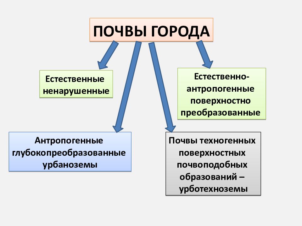 Естественный г. Классификация городских почв. Естественные-антропогенные городские почвы. Городские почвы и их реабилитация. Урбаноземы классификация.