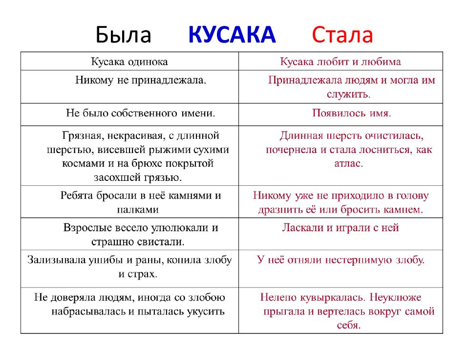 Кусака андреев презентация